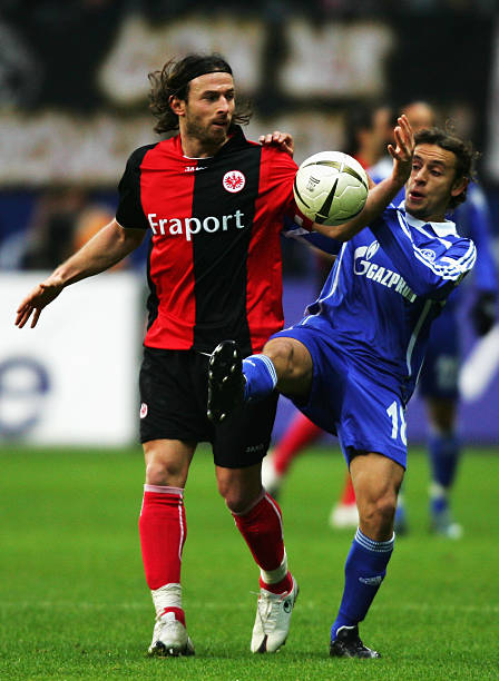 人队在赛季 人队在赛季